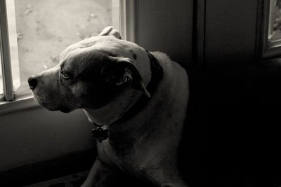 Close-up of man at home