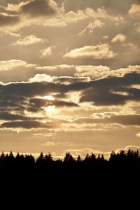 Silhouette trees against sky during sunset