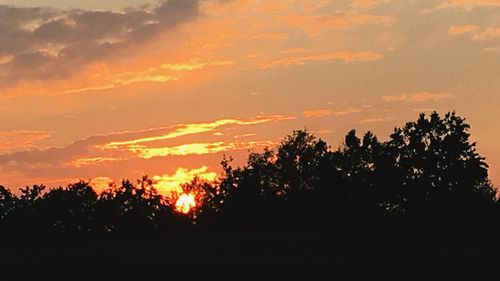 Silhouette trees against sky during sunset