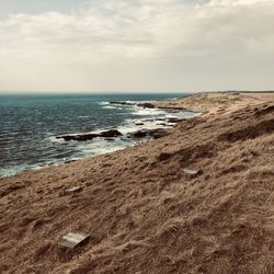 Scenic view of beach against sky