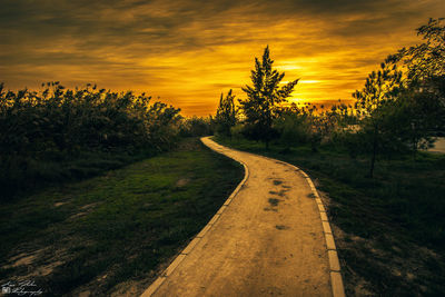 Road passing through forest at sunset