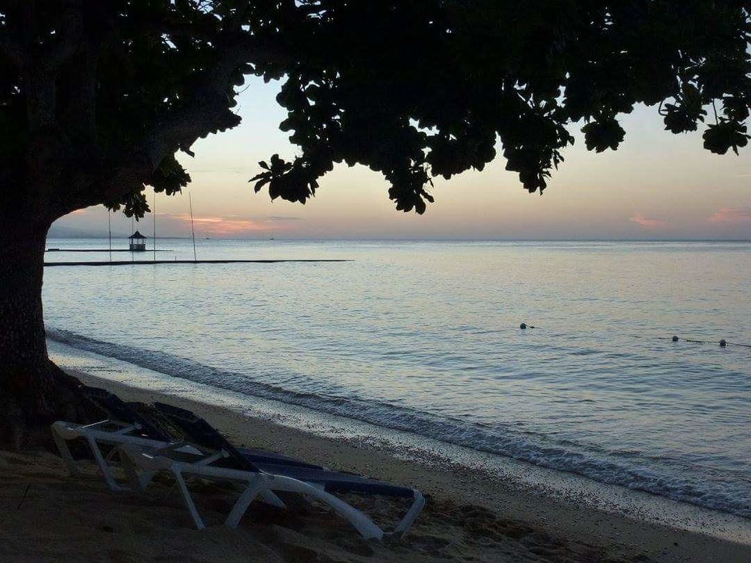 sea, beach, horizon over water, water, scenics, nature, sky, sunset, sand, outdoors, travel destinations, tranquil scene, tree, landscape, beauty in nature, no people, day