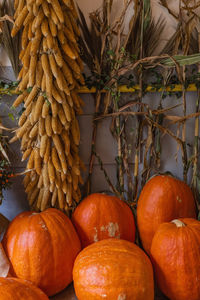 Halloween and thanksgiving autumn decoration with big pumpkins and dried corn cobs. vintage style