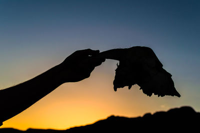 Silhouette person holding leaf against sky during sunset