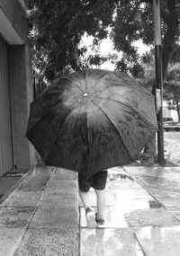 Woman holding umbrella on wet footpath during rainy season