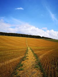Scenic view of field path against sky