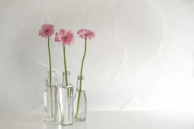 Close-up of pink flower vase on table against wall