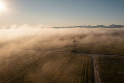 Power pole next to a cornfield, climate change, energy, foggy mood