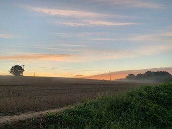 Scenic view of field against sky during sunset