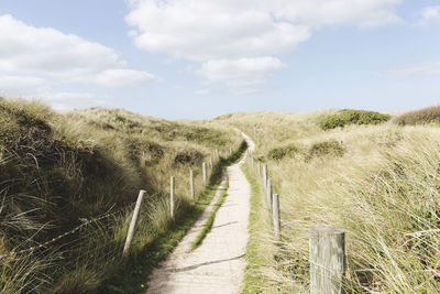 Road passing through field