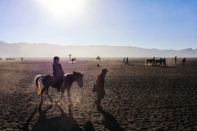 View of people riding horses on beach