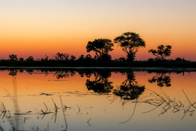 Silhouette trees by lake against orange sky