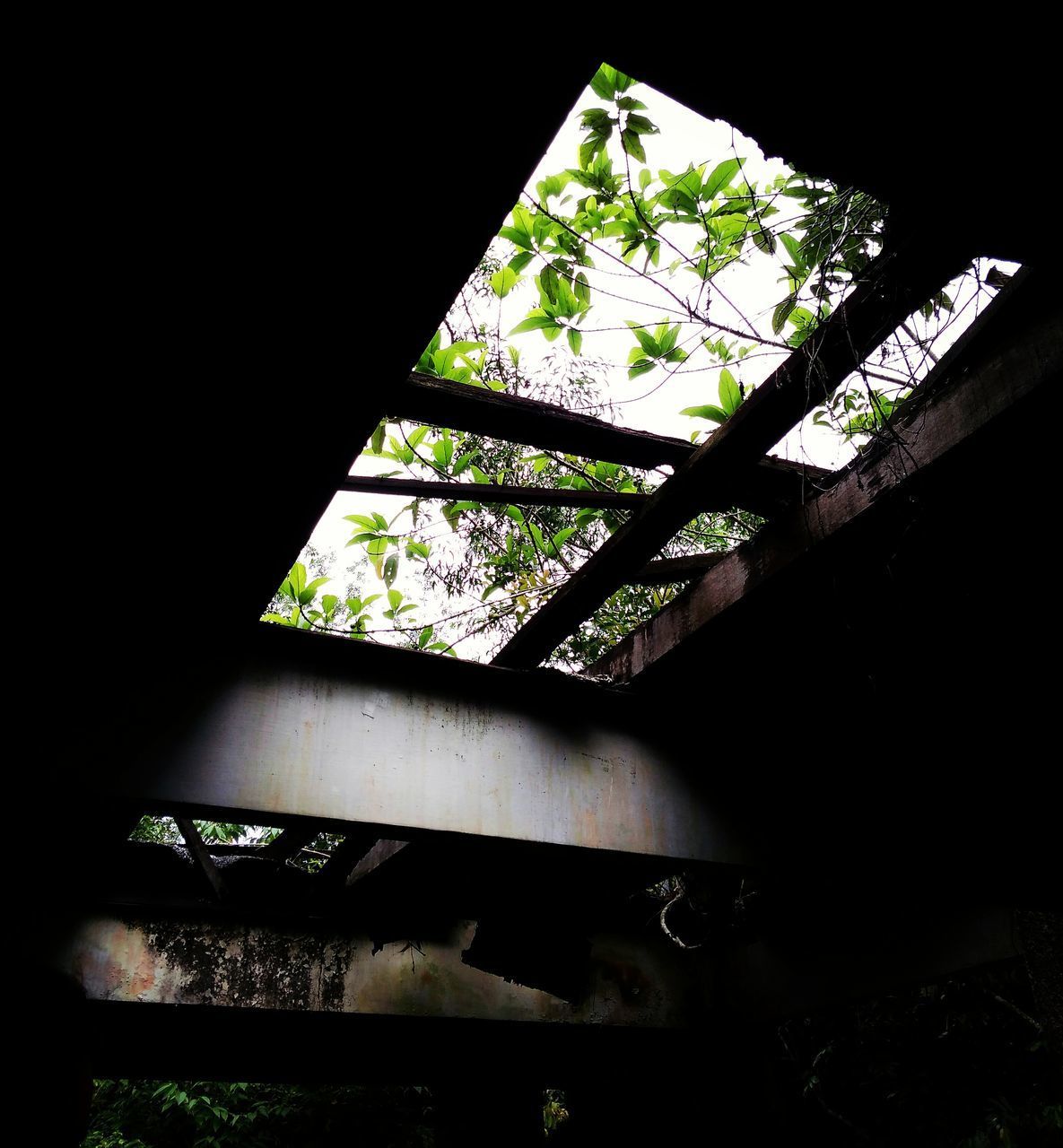 CLOSE-UP VIEW OF ABANDONED ROOM