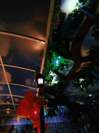 Low angle view of illuminated christmas lights hanging from ceiling