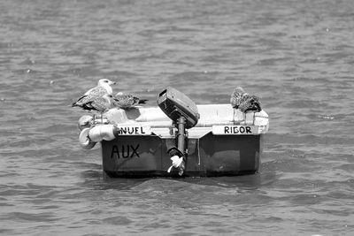 Scenic view of calm sea