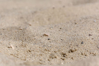 Close-up of sand at sandy beach
