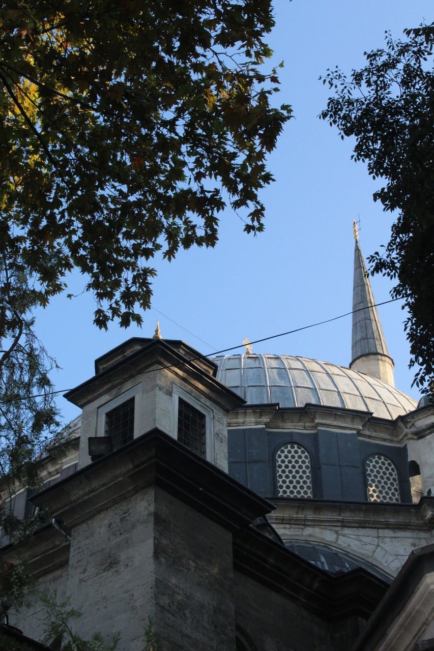 architecture, building exterior, built structure, tree, low angle view, plant, sky, building, nature, religion, place of worship, belief, no people, spirituality, day, outdoors, tower, city, spire, height, place