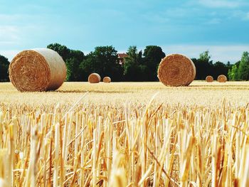 Hay bales on field against sky