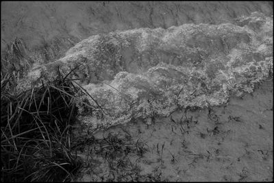 High angle view of water flowing through rocks
