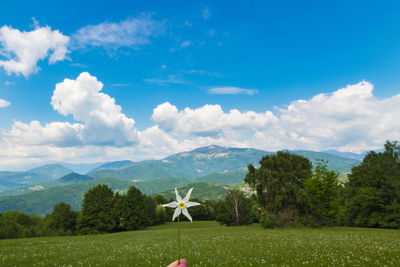 Scenic view of field against sky