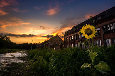 Low angle view of buildings against sky at sunset