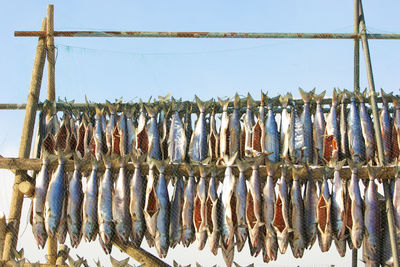 Clothes drying on clothesline against sky