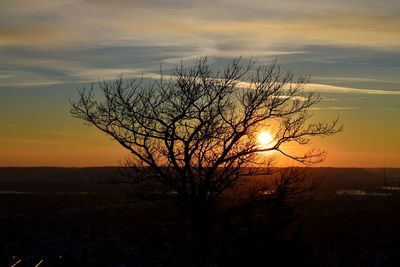 Bare trees on landscape at sunset