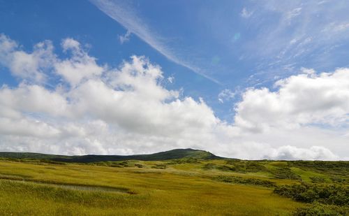 Scenic view of landscape against sky