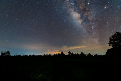 Silhouette trees against sky at night