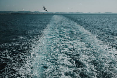 View of bird flying over sea