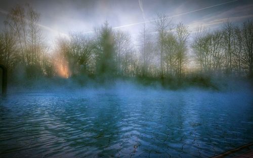 Scenic view of lake in forest against sky