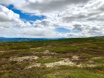 Scenic view of field against sky