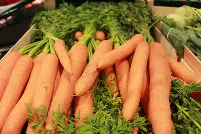 High angle view of vegetables for sale in market