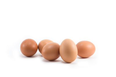Close-up of eggs against white background