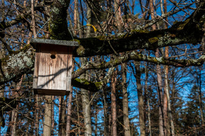 Low angle view of birdhouse on tree