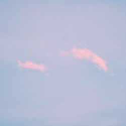 Low angle view of vapor trail in sky