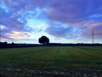 Scenic view of grassy field against cloudy sky