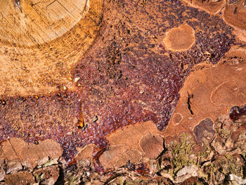 Full frame shot of rock