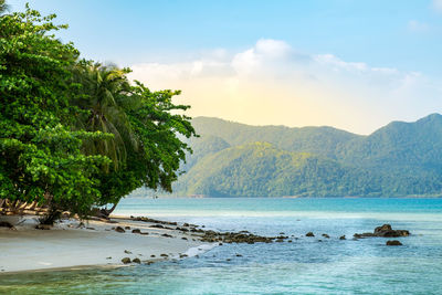 Scenic view of sea against sky