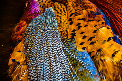 Close-up of multi colored pencils