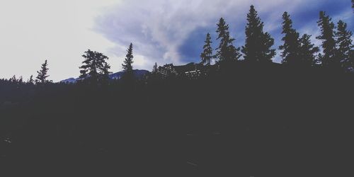 Silhouette trees in forest against sky