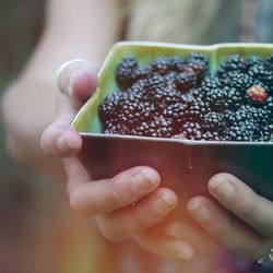 Close-up of hand holding fruit