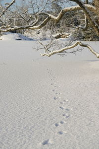 Footprints on snow covered landscape