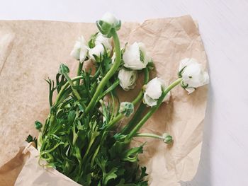 High angle view of white flowers on table