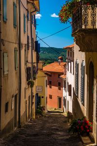 Narrow alley amidst buildings in town