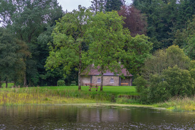 Scenic view of lake by trees in forest