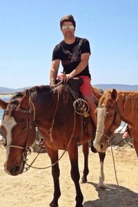 horse