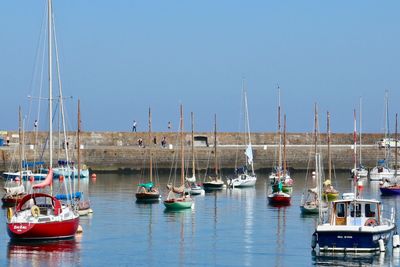 Boats moored in harbor