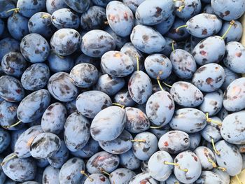 Full frame shot of fruits for sale in market