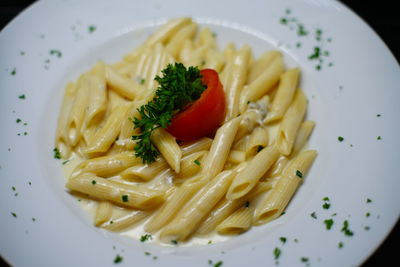 Close-up of noodles served in plate